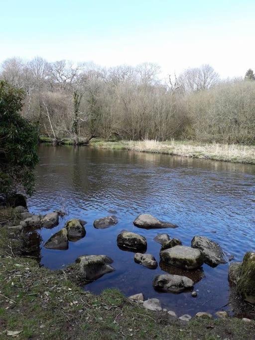 Stunning 3 Bed Riverside Cabin In Snowdonia Caeathro Экстерьер фото