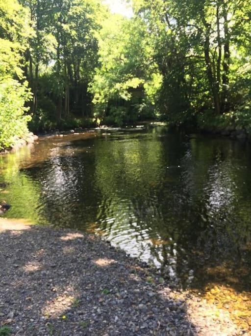 Stunning 3 Bed Riverside Cabin In Snowdonia Caeathro Экстерьер фото