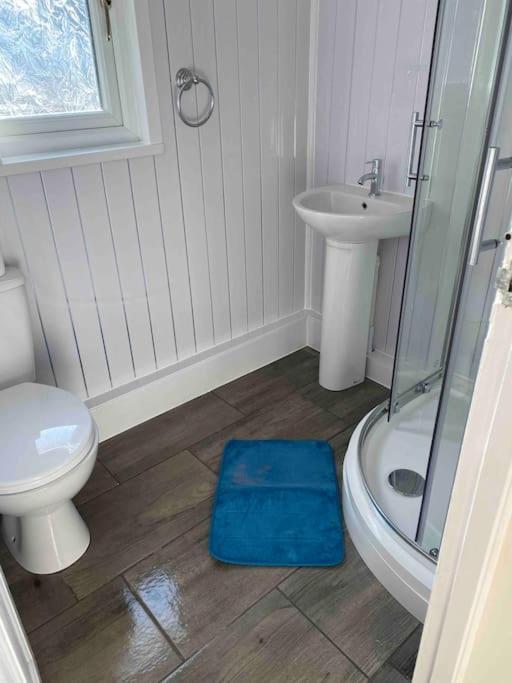 Stunning 3 Bed Riverside Cabin In Snowdonia Caeathro Экстерьер фото
