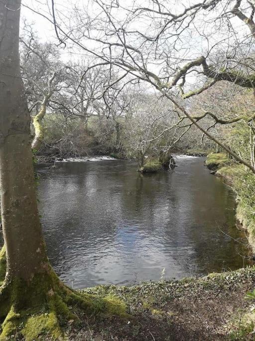 Stunning 3 Bed Riverside Cabin In Snowdonia Caeathro Экстерьер фото