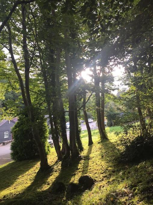 Stunning 3 Bed Riverside Cabin In Snowdonia Caeathro Экстерьер фото